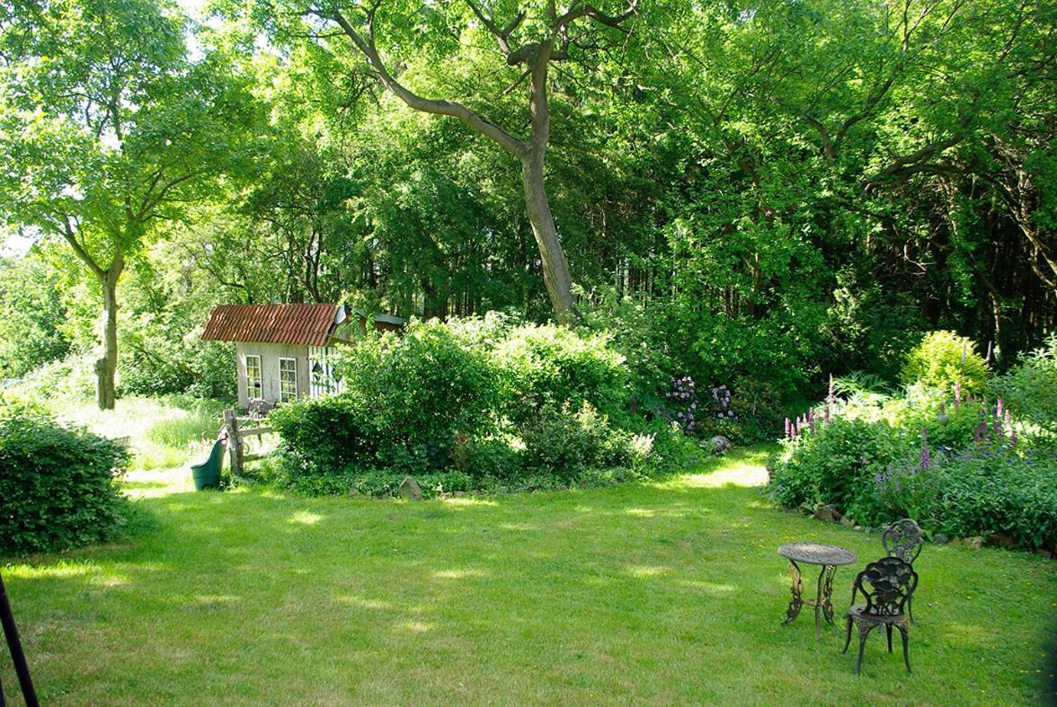 Alte Schule Osteroden Apartment Merzen ภายนอก รูปภาพ